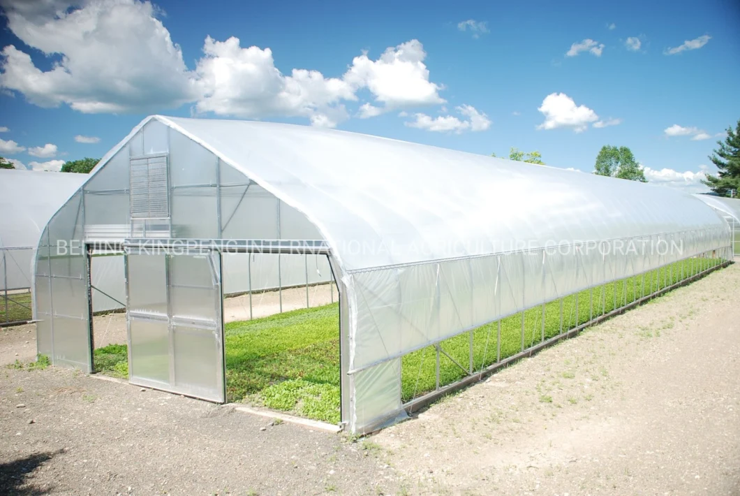 Hydroponics Grow Tent with Double/Single Layer Film /Poly/PE Film